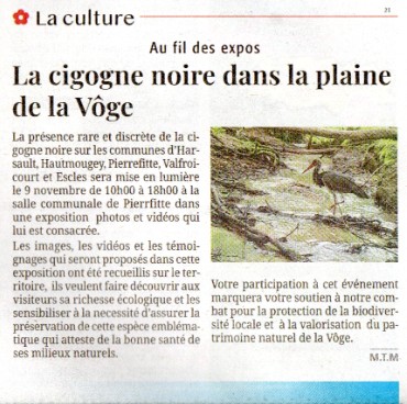 écho des Vosges 23 octobre 2025